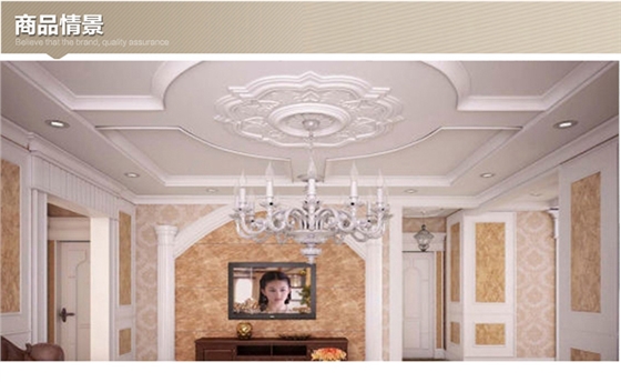 羅馬柱、羅馬柱頭系列