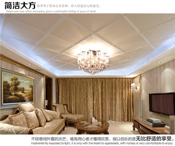 羅馬柱、羅馬柱頭系列